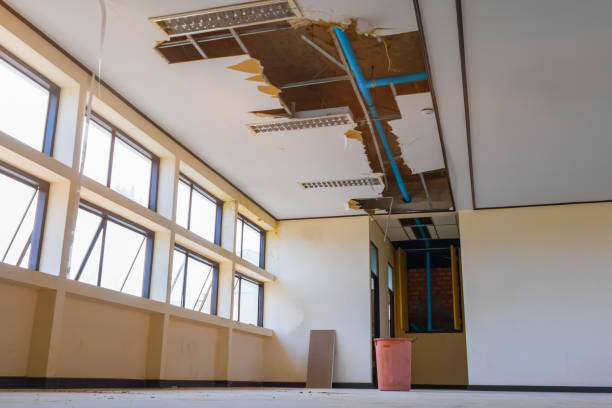 Best Water damage cleanup near me  in Columbiana, OH