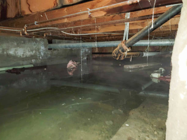 Best Water damage restoration near me  in Columbiana, OH