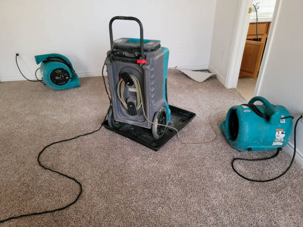 Best Commercial water damage restoration  in Columbiana, OH