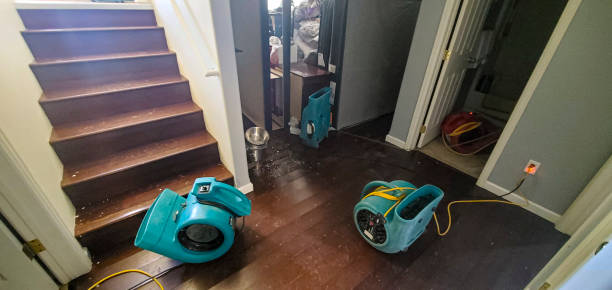 Best Commercial water damage restoration  in Columbiana, OH