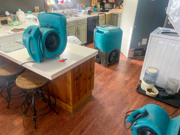 Best Flood damage cleanup  in Columbiana, OH