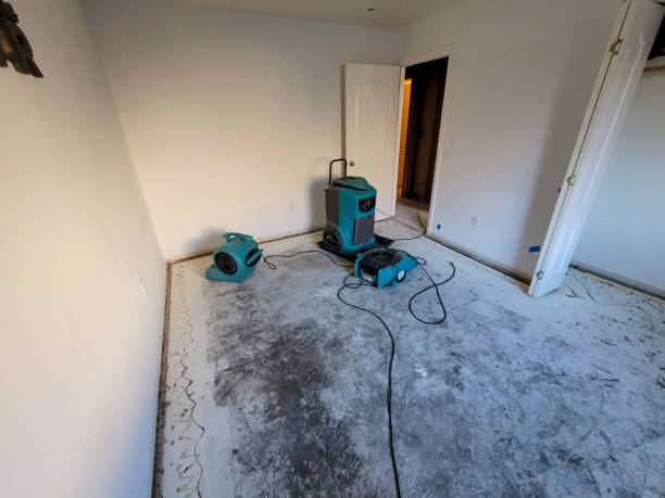 Best 24/7 water damage repair  in Columbiana, OH