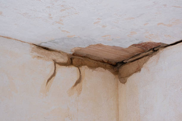 Best Basement water damage restoration  in Columbiana, OH