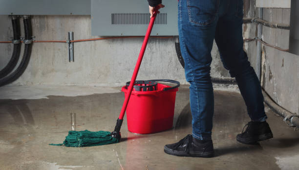 Best Basement water damage restoration  in Columbiana, OH