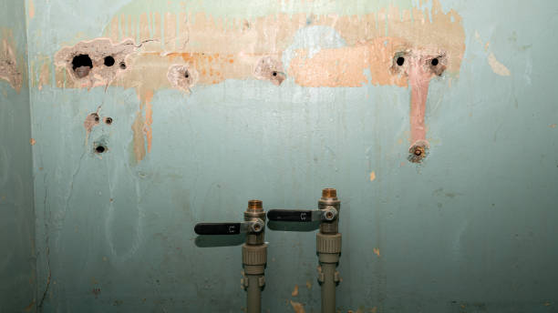 Best Basement water damage restoration  in Columbiana, OH