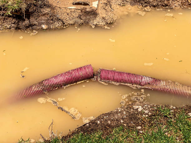 Best Carpet water damage restoration  in Columbiana, OH