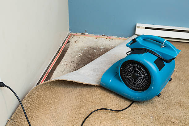 Best Flood damage cleanup  in Columbiana, OH